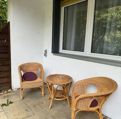 Sunny باد درهيم